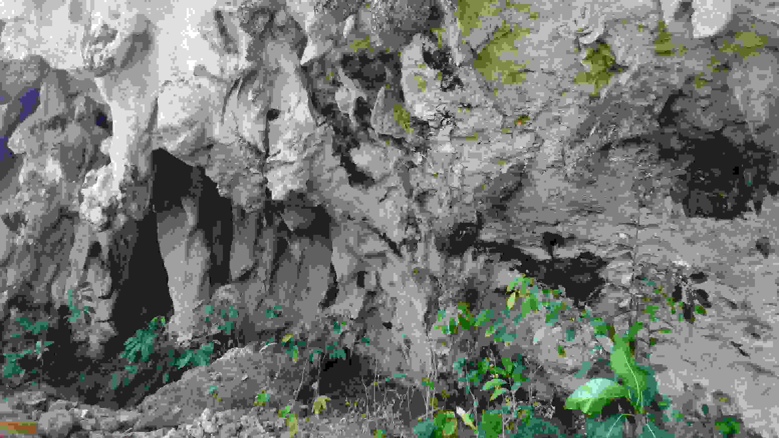 DSC_0001_4.JPG