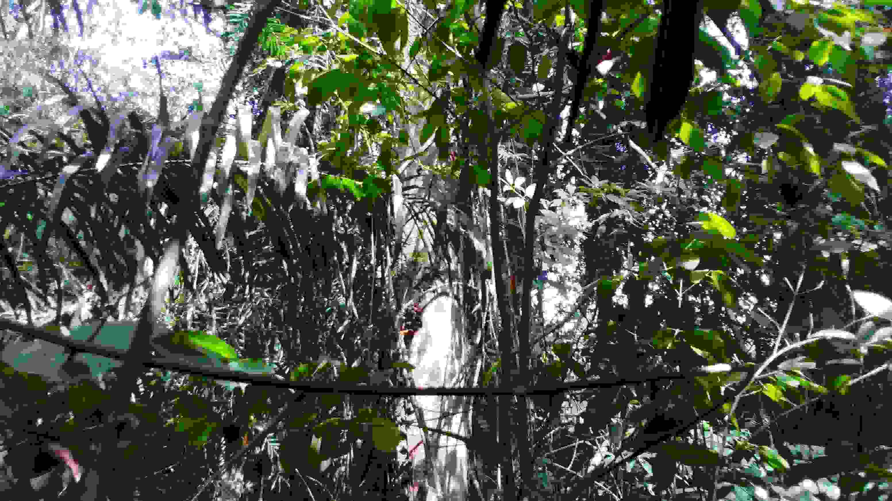 DSC_0012_3.JPG