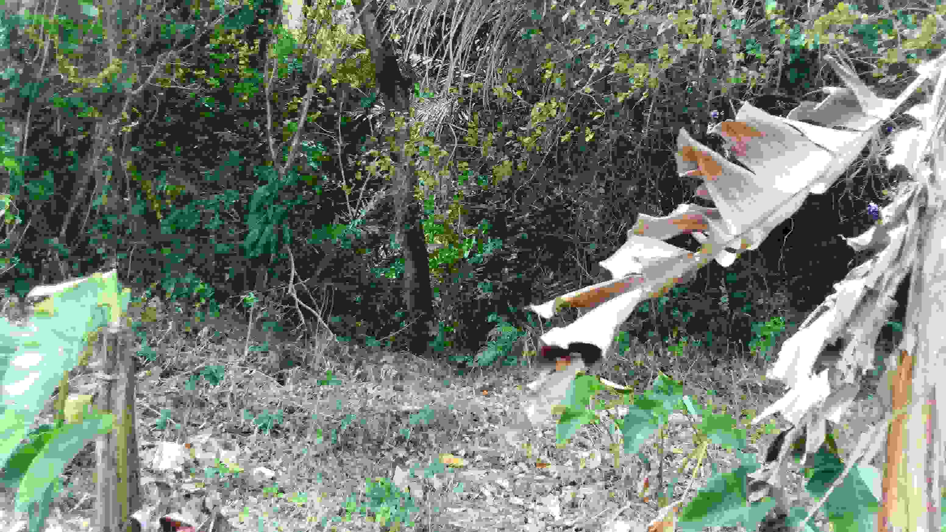 DSC_0013_2.JPG
