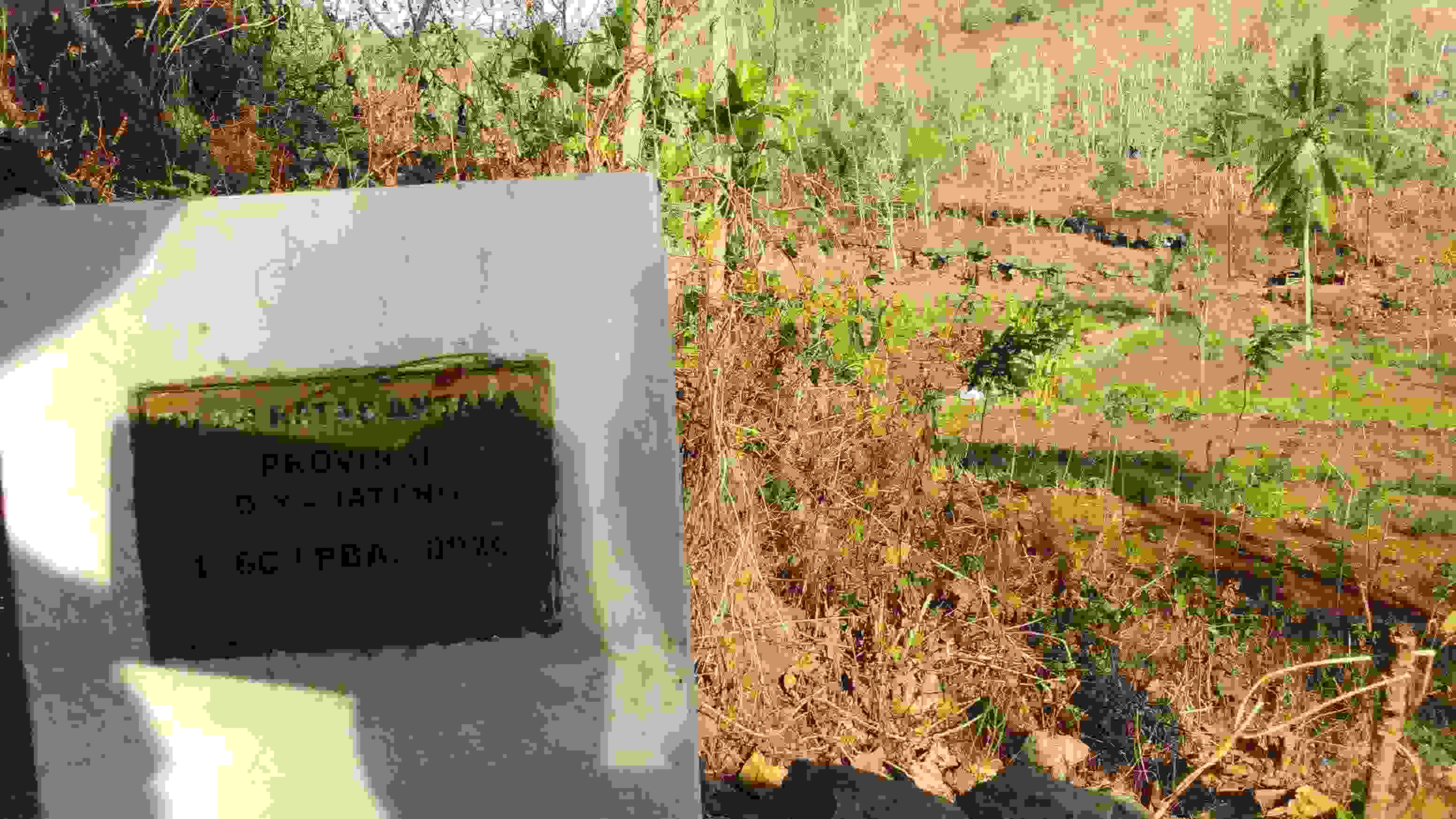 DSC_0016_2.JPG