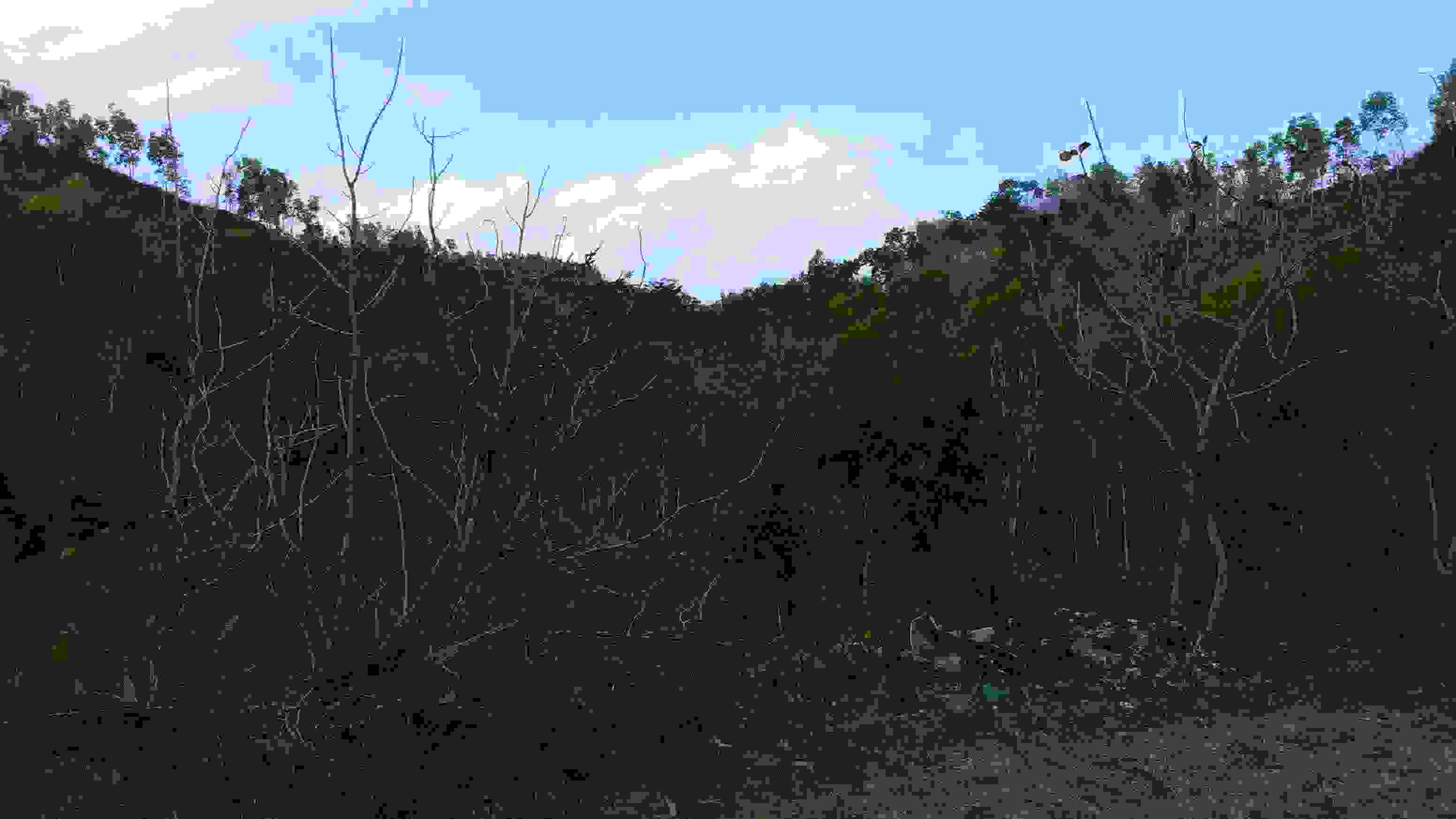 DSC_0021_2.JPG