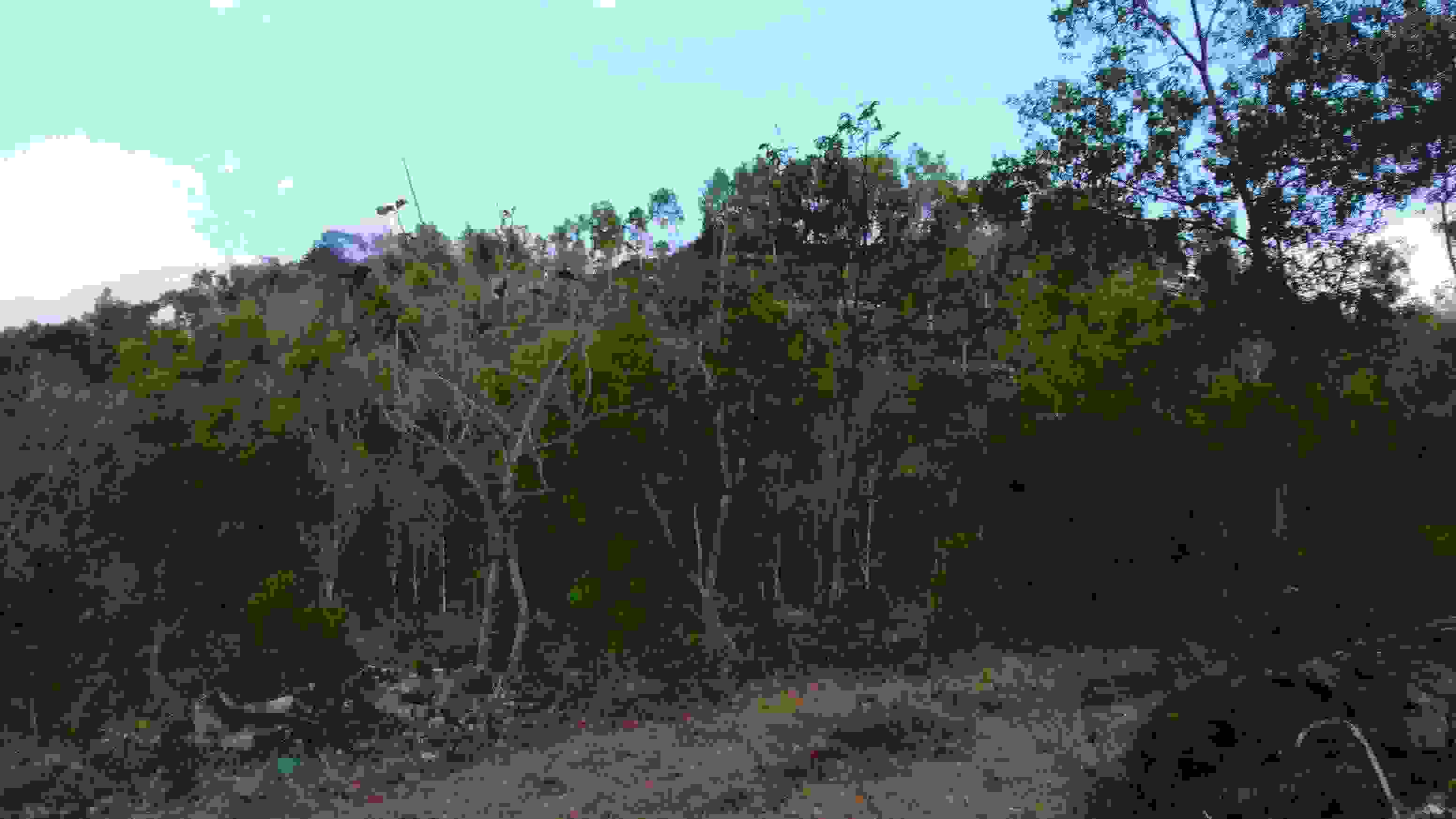 DSC_0022_1.JPG