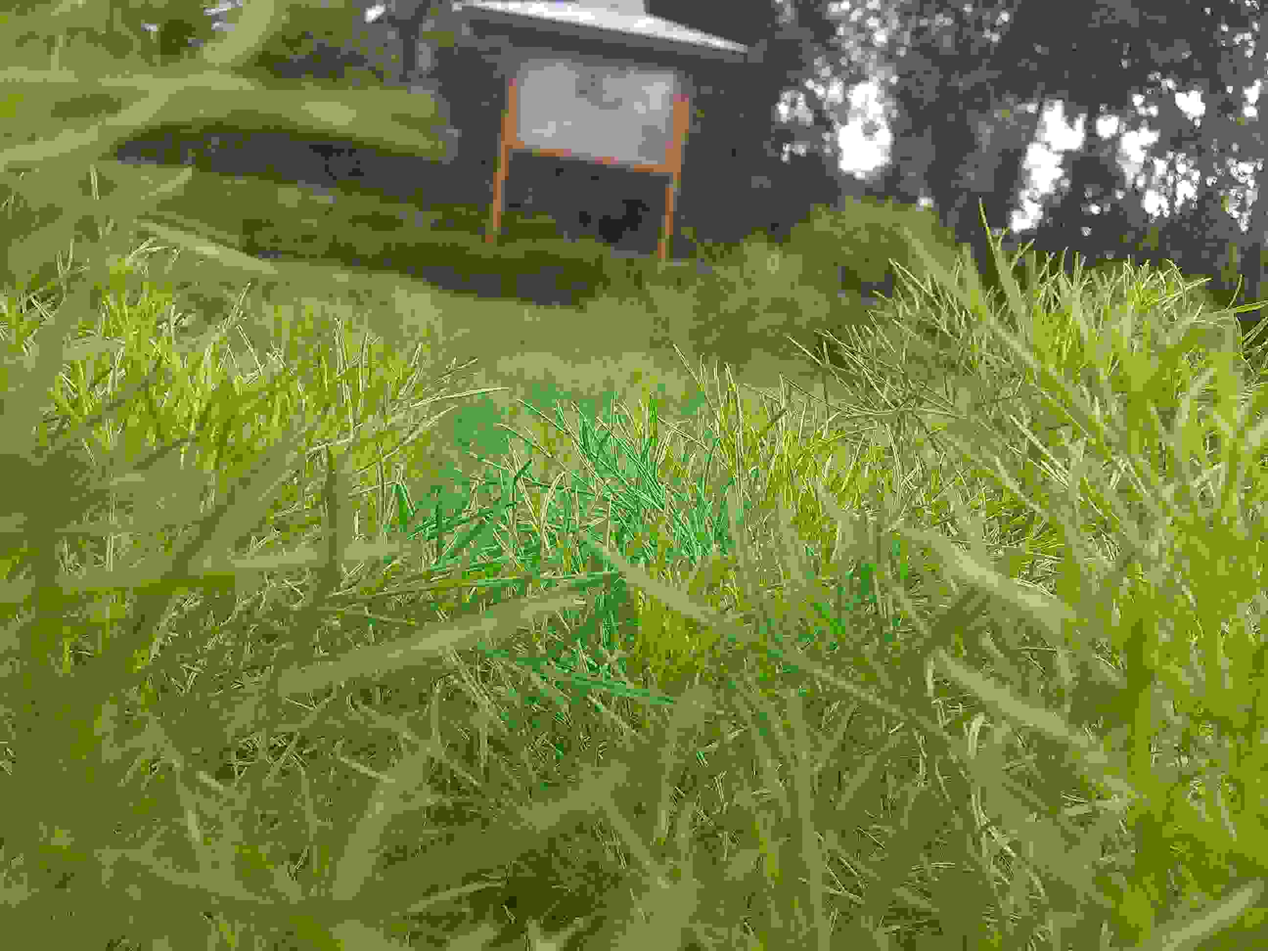 GONDANG_IMG_20150411_125804.jpg