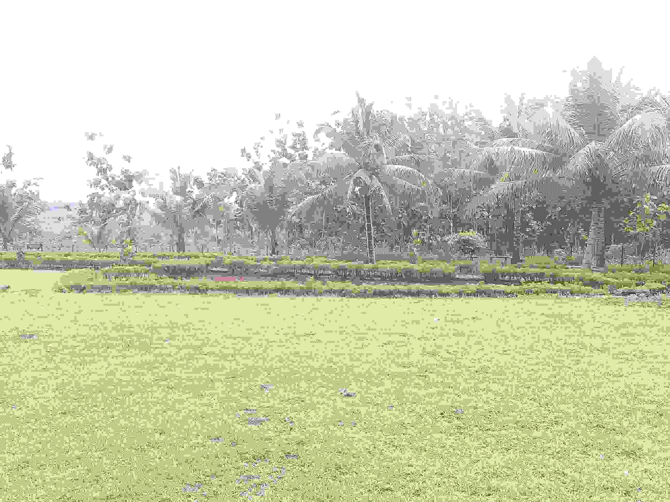 SOKOLIMAN_IMG_20150411_121823.jpg
