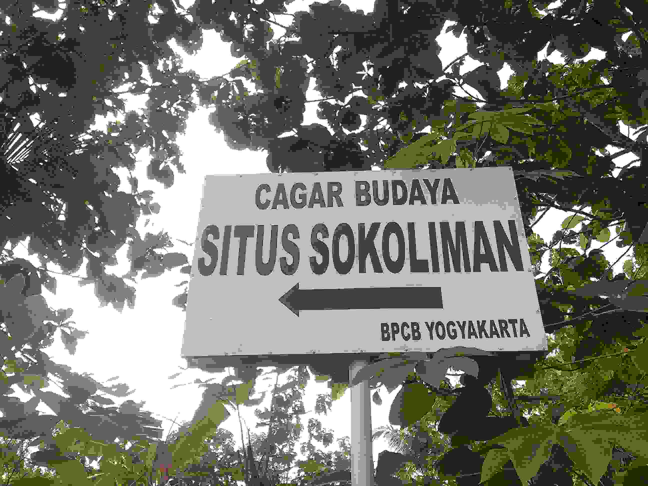 SOKOLIMAN_IMG_20150411_122308.jpg